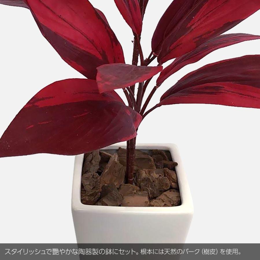 人工観葉植物 造花 光触媒 大型 Fian ドラセナプラント ホット クール 80cm 鉢植 コルディリネ サンデリアーナ 幸福の木 フェイクグリーン Ct触媒 Lb00pot フェイクグリーンの神戸花物語 通販 Yahoo ショッピング
