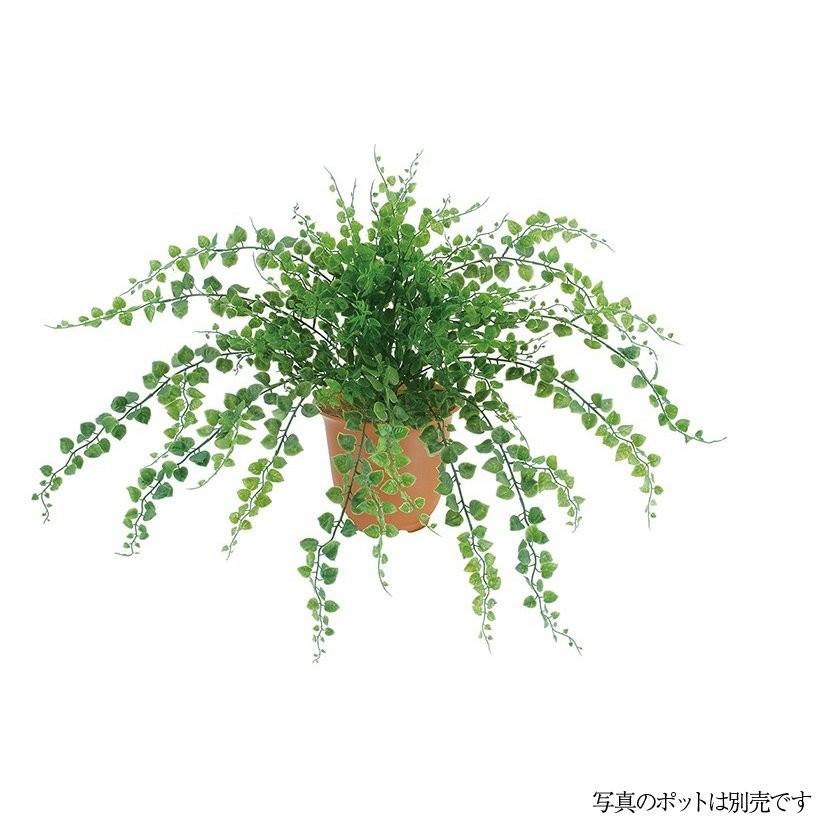 観葉植物 造花 屋外対応 アジアンタムブッシュ 48cm 人工観葉植物 フェイクグリーン 光触媒 Ct触媒 インテリア G L Leb 8079 フェイクグリーンの神戸花物語 通販 Yahoo ショッピング