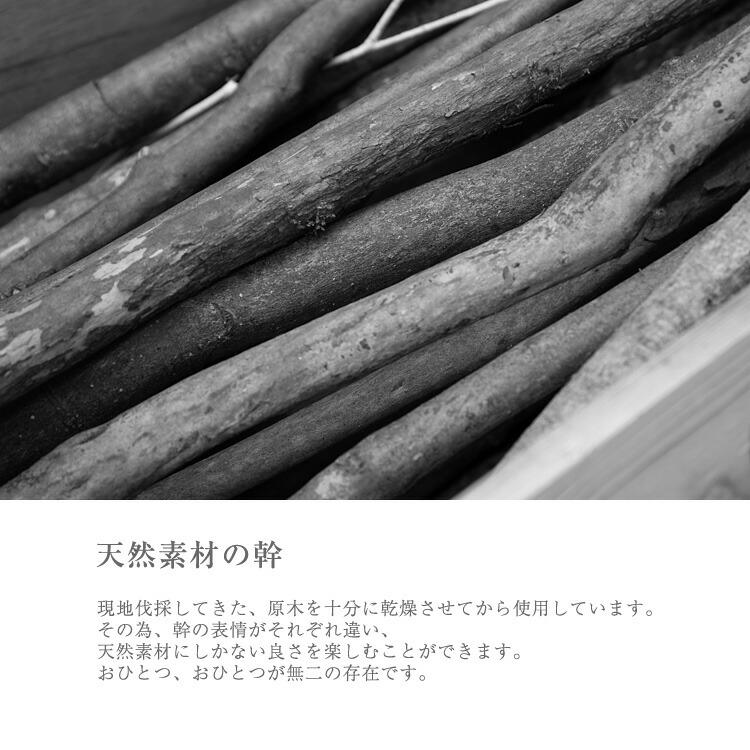 フェイクグリーン 人工観葉植物 大型 光触媒 天然木 リアル 造花 消臭 おしゃれ お祝い / ナチュラルトランク フィカス ベンガレンシス ゴムの木 樹脂鉢S 120cm_5