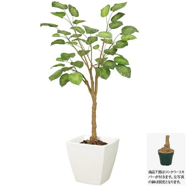 観葉植物 造花 屋外対応 フレッシュウンベラータ 140cm フェイクグリーン 大型 人工観葉植物 光触媒 Ct触媒 インテリア Let 68 G L Let 68 フェイクグリーンの神戸花物語 通販 Yahoo ショッピング