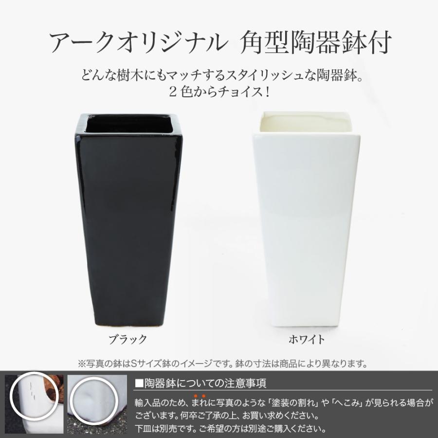 人工観葉植物 造花 大型 Fian ネオユーカリ 96cm 鉢植 陶器鉢 フェイクグリーン インテリア ミニ 光触媒 Ct触媒 リアル 消臭 おしゃれ Ls0048 フェイクグリーンの神戸花物語 通販 Yahoo ショッピング