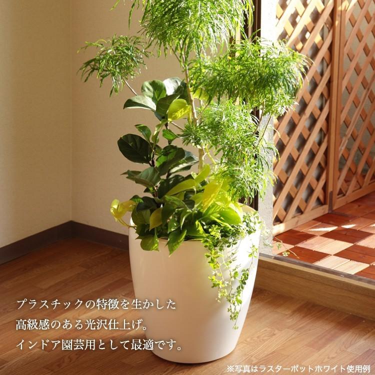 神戸花物語 ラスターポット 265型 ブラック 鉢 フェイクグリーン 観葉