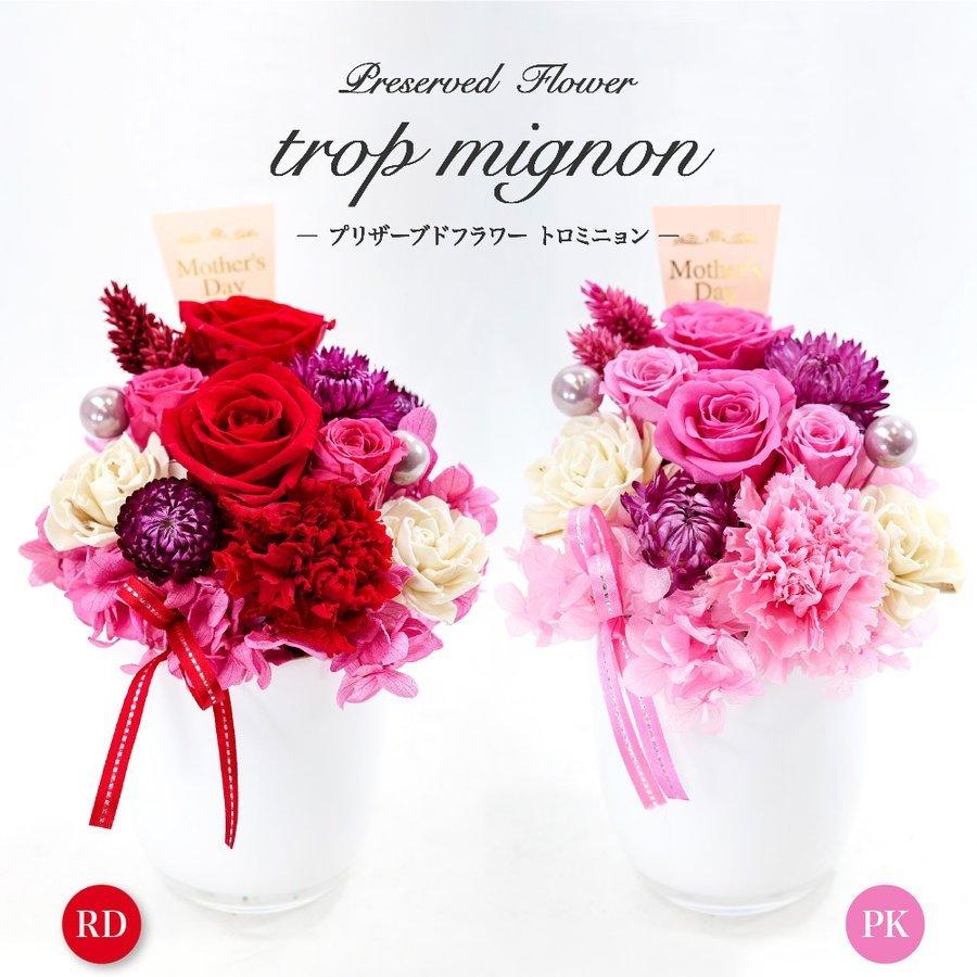 ホワイトデー お返し プレゼント 花 プリザーブドフラワーアレンジ トロミニョン 母の日 贈り物 ギフト お祝い Mdp 001 フェイクグリーンの神戸花物語 通販 Yahoo ショッピング