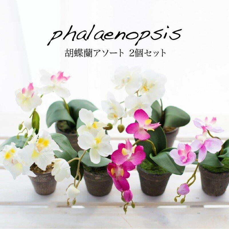 胡蝶蘭の造花2点セット