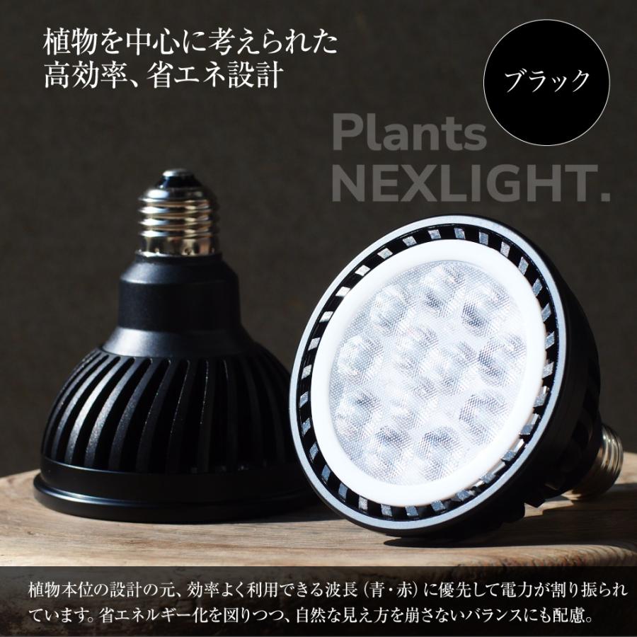 神戸花物語 観葉植物 育成 LEDライト PlantsNEXLIGHT インドア 神戸花物語 観葉植物 育成 LEDライト PlantsNEXLIGHT インドア