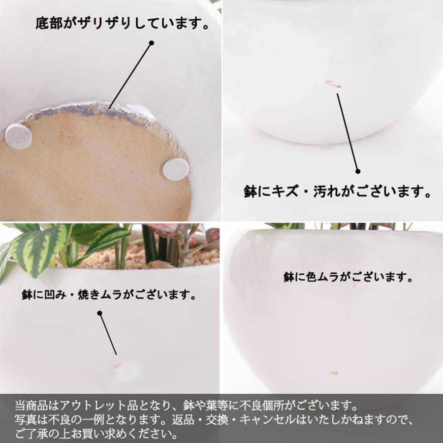 神戸花物語 フェイクグリーン 観葉植物 人工観葉 卓上 ミニ 神戸花物語 フェイクグリーン 観葉植物 人工観葉 卓上 ミニ