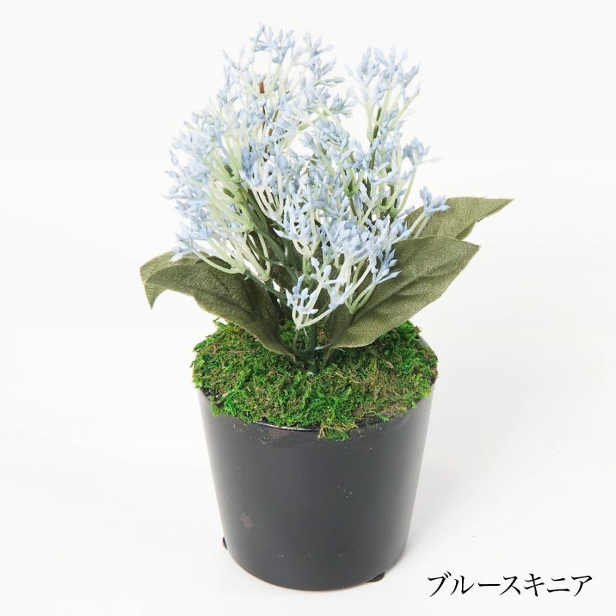 神戸花物語 フェイクグリーン 観葉植物 人工観葉 卓上 ミニ 小さい
