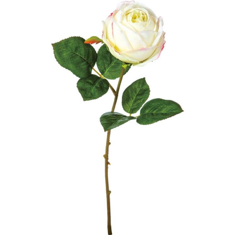 ローズマリーアントワネット ホワイト ご予約商品 14日 Po 17 Fa 6906w フェイクグリーンの神戸花物語 通販 Yahoo ショッピング