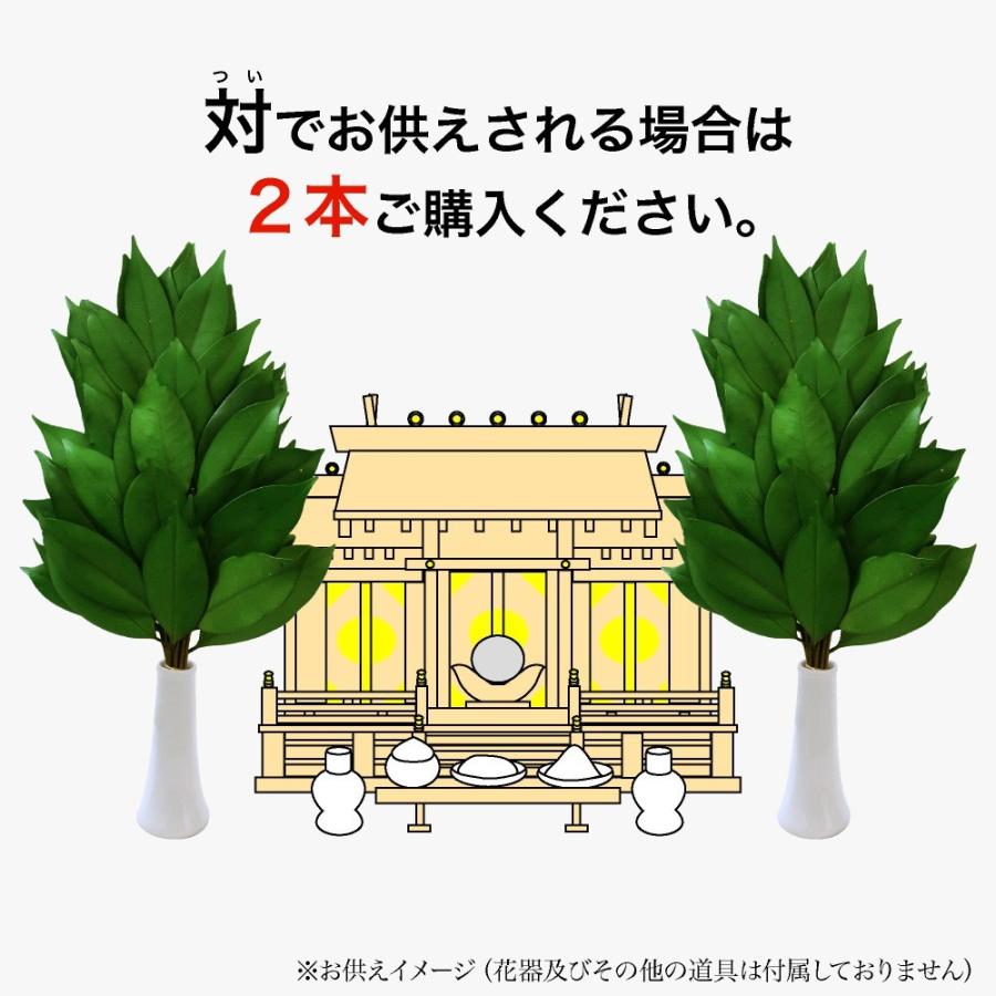 神戸花物語 榊 プリザーブドフラワー 造花 枯れない 天然 サカキ