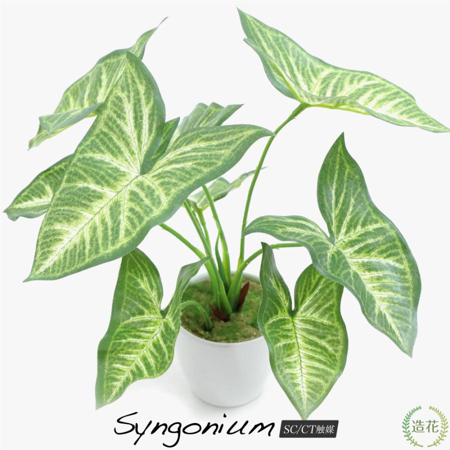 653円 22正規激安 フェイクグリーン シンゴニウム テーブルポット 28cm 人工観葉植物 造花 インテリア ミニ 光触媒 Ct触媒 リアル 消臭 おしゃれ Sg 1002