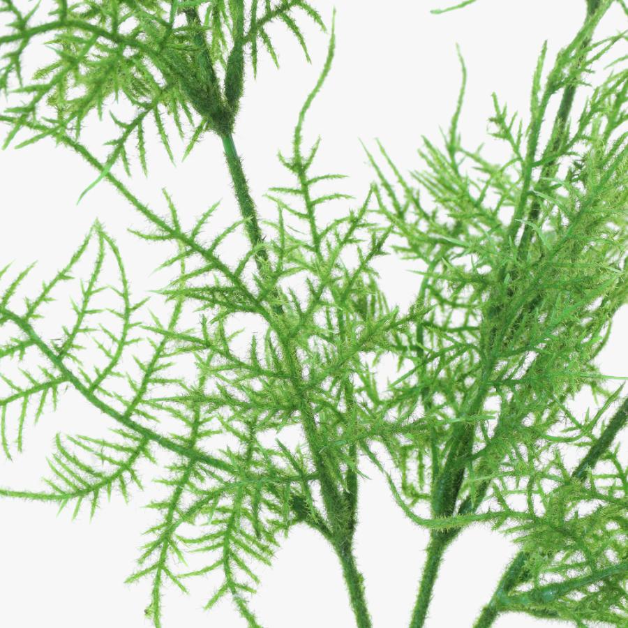 神戸花物語 フェイクグリーン 観葉植物 造花 アスパラガススプレイ