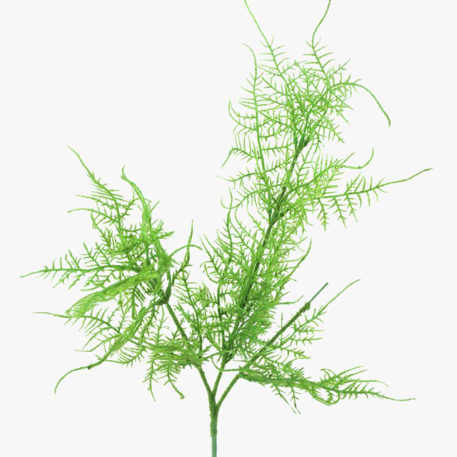 最大92 オフ フェイクグリーン 観葉植物 造花 アスパラガススプレイ 73cm 光触媒 Sc Ct触媒 花材 資材 ディスプレイ 装飾 Wantannas Go Id