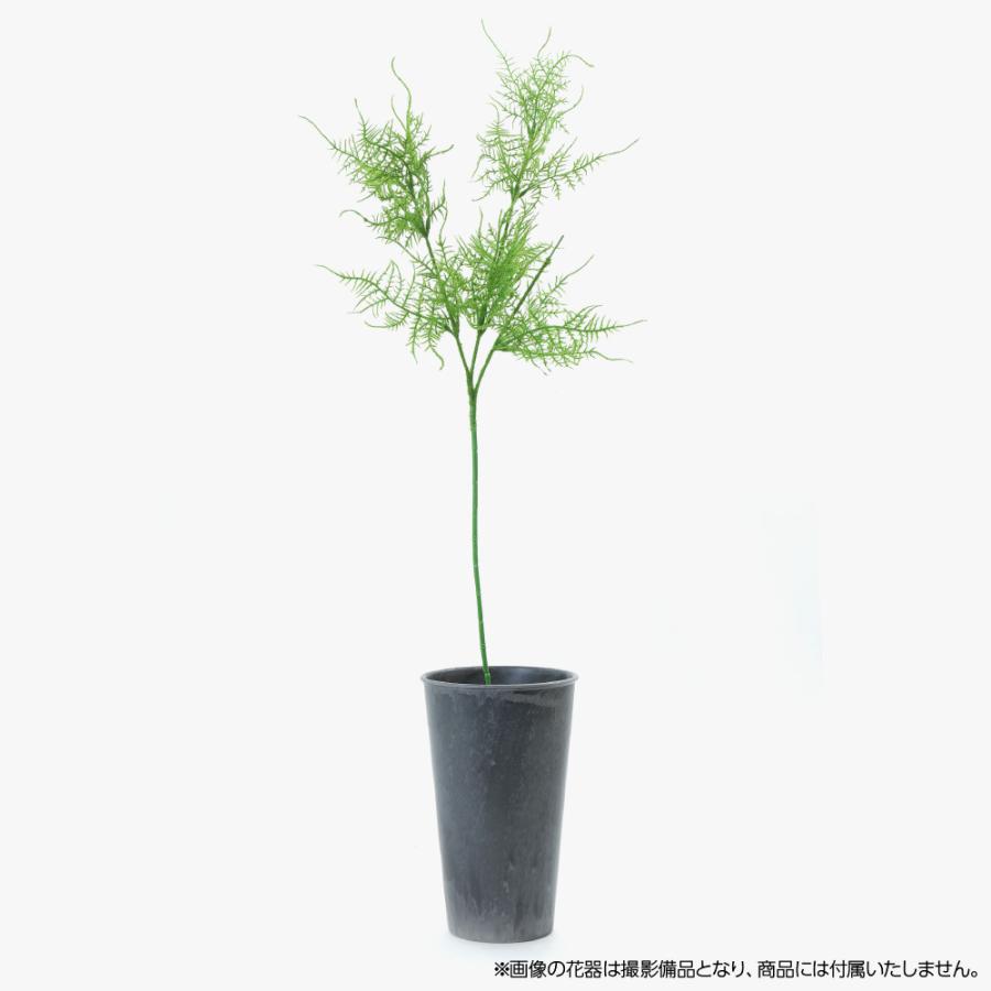 最大92 オフ フェイクグリーン 観葉植物 造花 アスパラガススプレイ 73cm 光触媒 Sc Ct触媒 花材 資材 ディスプレイ 装飾 Wantannas Go Id