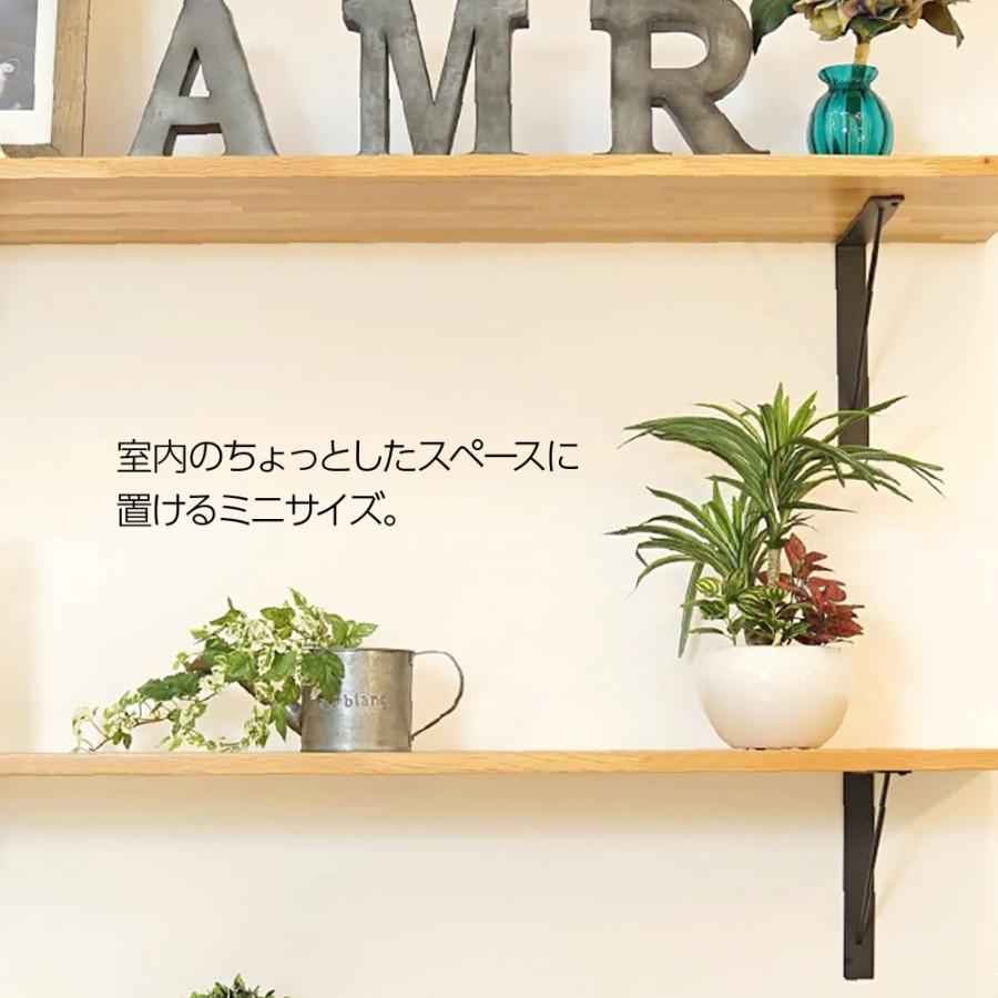 神戸花物語 フェイクグリーン 観葉植物 人工観葉 卓上 ミニ 神戸花物語 フェイクグリーン 観葉植物 人工観葉 卓上 ミニ