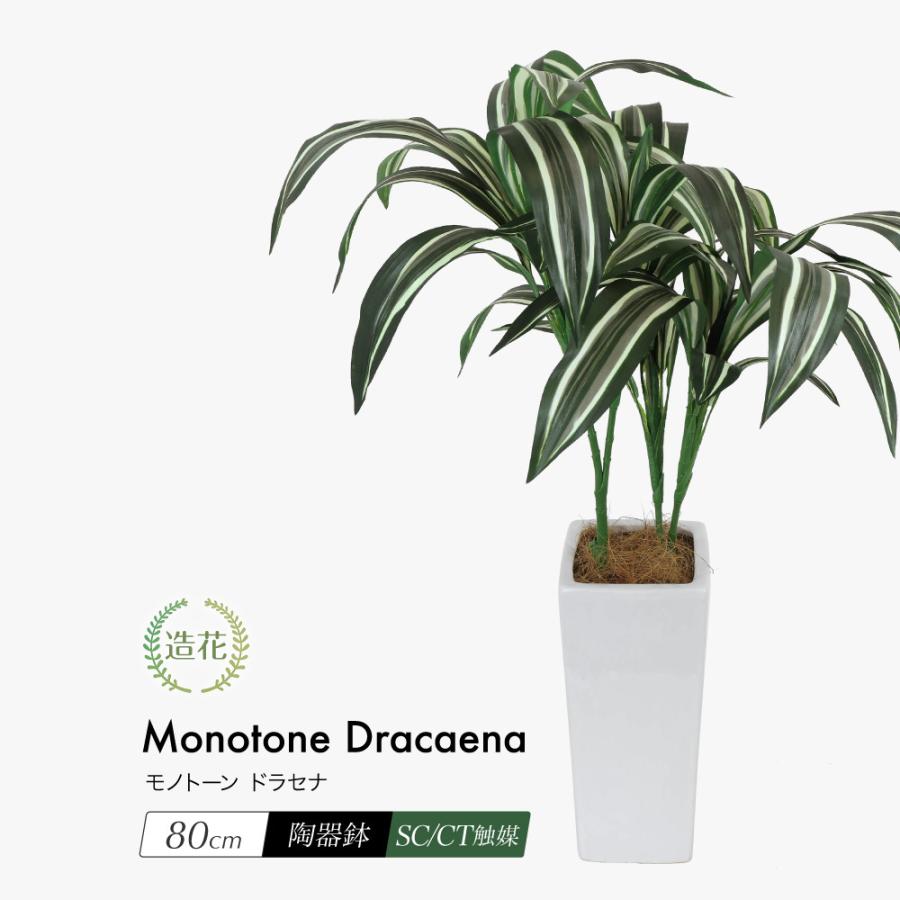 人工観葉植物 フェイクグリーン 観葉植物 造花 光触媒 モノトーン ドラセナ 80cm 鉢植 フェイク グリーン インテリア おしゃれ Ct触媒 お祝い Sk 050 Pot フェイクグリーンの神戸花物語 通販 Yahoo ショッピング