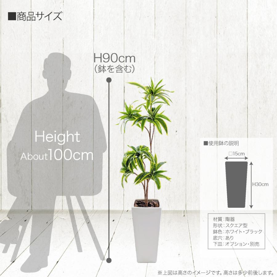 フェイクグリーン 大型 人工 観葉植物 造花 ドラセナ 幸福の木 ソングオブインディア 90cm 鉢植 光触媒 CT触媒 リアル インテリア｜k-hana｜05