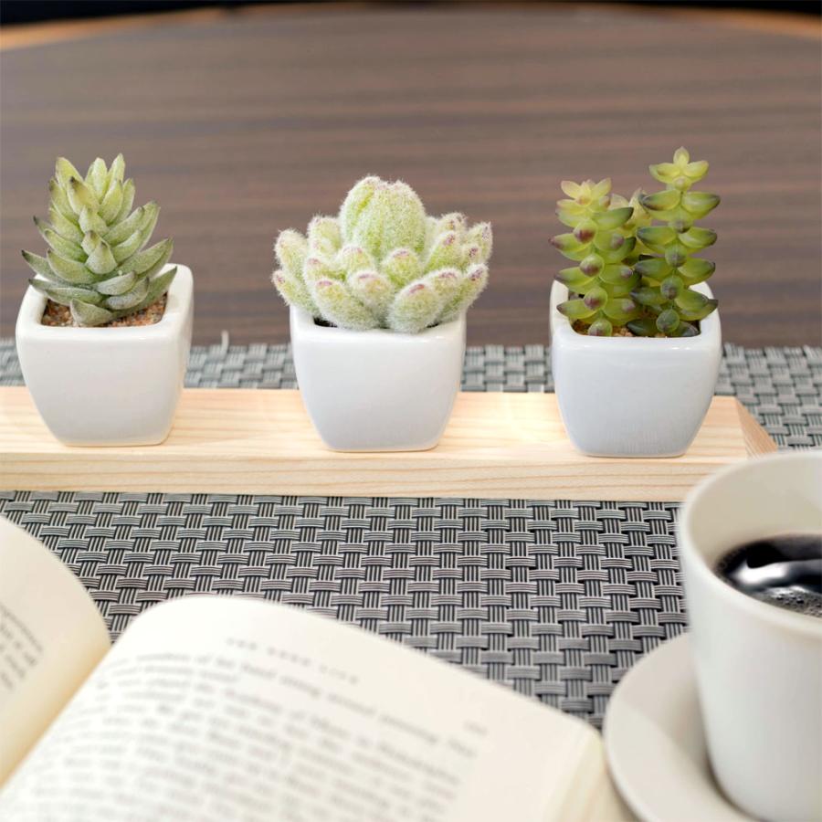 フェイク　多肉植物 楽天市場】フェイクグリーン 多肉植物 サボテン 造花 ミニ 観葉
