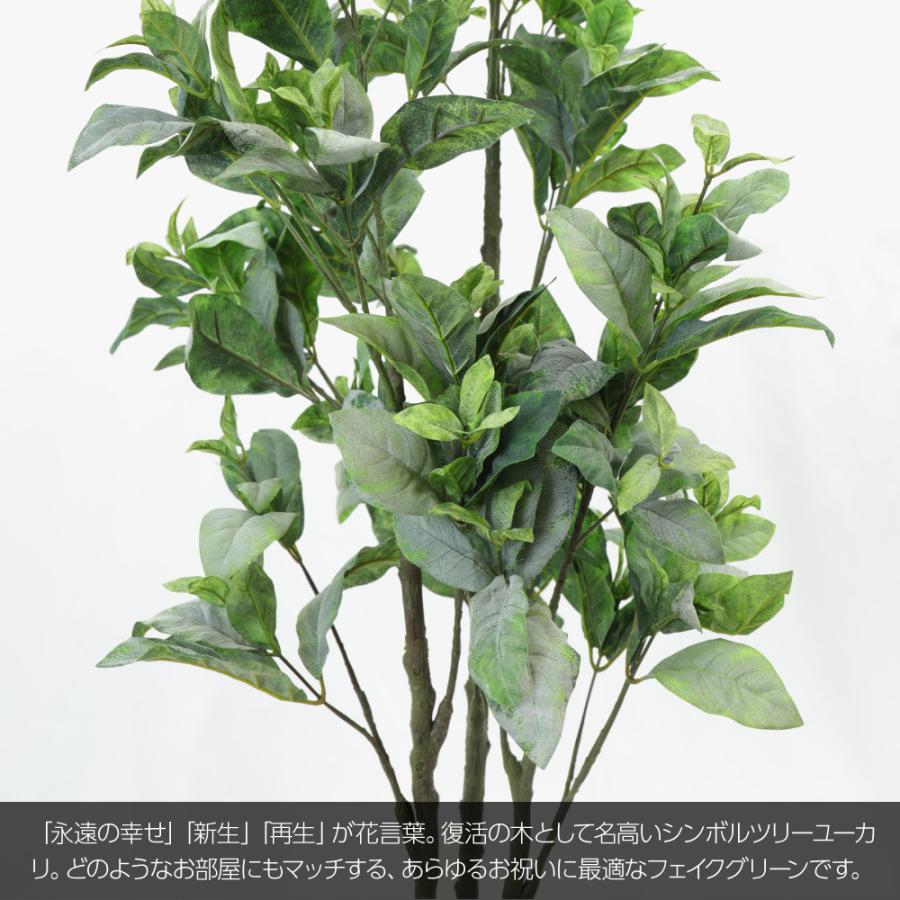 人工観葉植物 フェイクグリーン 観葉植物 造花 光触媒 マグノリアツリー 140cm 鉢植 フェイク グリーン インテリア おしゃれ Ct触媒 お祝い Suzu 1127 フェイクグリーンの神戸花物語 通販 Yahoo ショッピング