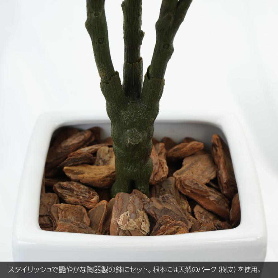 人工観葉植物 フェイクグリーン 観葉植物 造花 光触媒 マグノリアツリー 140cm 鉢植 フェイク グリーン インテリア おしゃれ Ct触媒 お祝い Suzu 1127 フェイクグリーンの神戸花物語 通販 Yahoo ショッピング