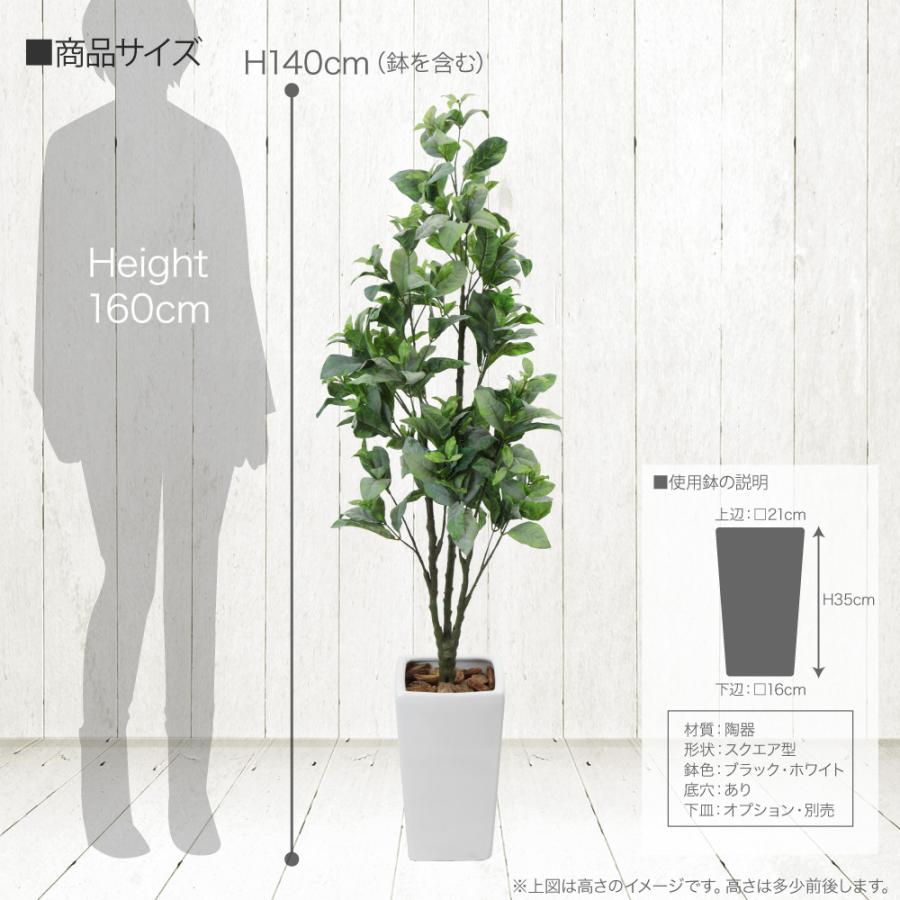 人工観葉植物 フェイクグリーン 観葉植物 造花 光触媒 マグノリアツリー 140cm 鉢植 フェイク グリーン インテリア おしゃれ Ct触媒 お祝い Suzu 1127 フェイクグリーンの神戸花物語 通販 Yahoo ショッピング