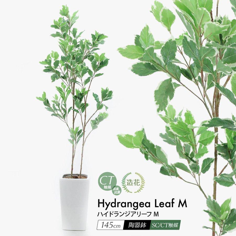 リアル フェイクグリーン 観葉植物 造花 ハイドランジアリーフM 145cm 鉢植 陶器鉢 インテリア おしゃれ フェイク グリーン CT触媒 消臭 抗菌 :suzu-1281ks-m:フェイクグリーンの神戸花物語 - 通販 - Yahoo!ショッピング リアル フェイクグリーン 観葉植物 造花 ハイドランジアリーフM 145cm 鉢植 陶器鉢 インテリア おしゃれ フェイク グリーン CT触媒 消臭 抗菌 :suzu-1281ks-m:フェイクグリーンの神戸花物語 - 通販 - Yahoo!ショッピング