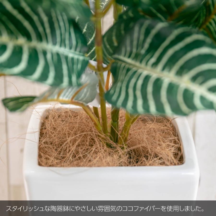 神戸花物語 フェイクグリーン 観葉植物 人工観葉 大型 光触媒 神戸花物語 フェイクグリーン 観葉植物 人工観葉 大型 光触媒