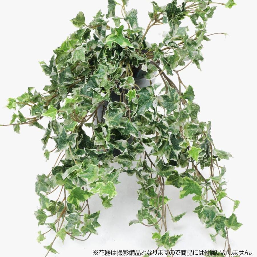 フェイクグリーン 花材 Ct触媒 セシリア ツタ ディスプレイ リアル リアルタッチヘデラアイビー 人工 光触媒 蔦 装飾 観葉植物 造花 最大58 オフ 人工