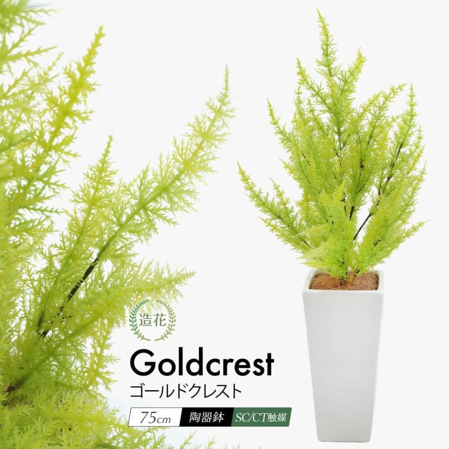 フェイクグリーン 観葉植物 人工観葉 卓上 ミニ 小さい 光触媒 造花 ゴールドクレストツリー ライトグリーン 75cm 鉢植 インテリア リアル