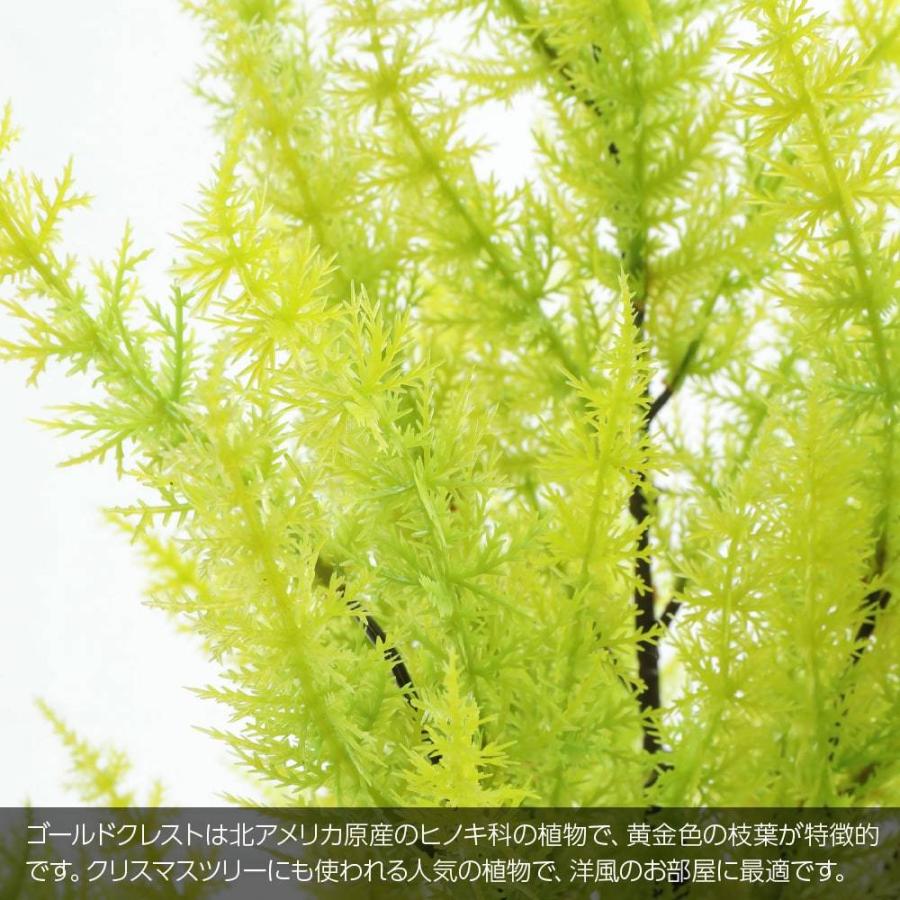 フェイクグリーン 観葉植物 人工観葉 卓上 ミニ 小さい 光触媒 造花 ゴールドクレストツリー ライトグリーン 75cm 鉢植 インテリア リアル_1