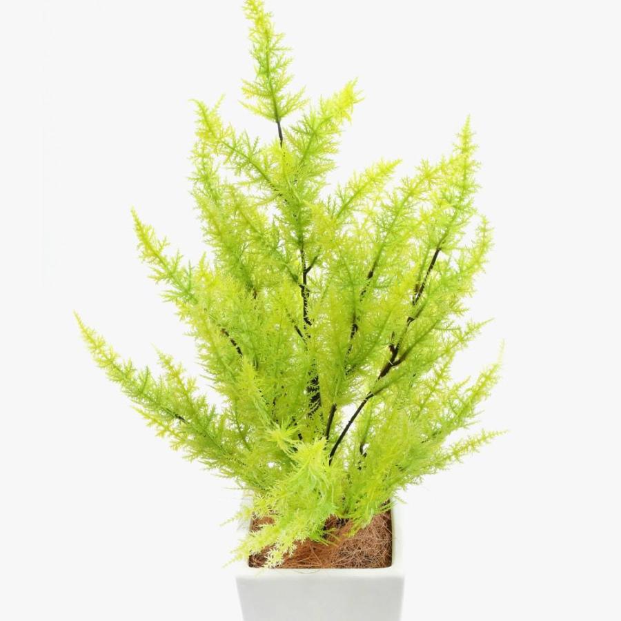 フェイクグリーン 観葉植物 人工観葉 卓上 ミニ 小さい 光触媒 造花 ゴールドクレストツリー ライトグリーン 75cm 鉢植 インテリア リアル_2