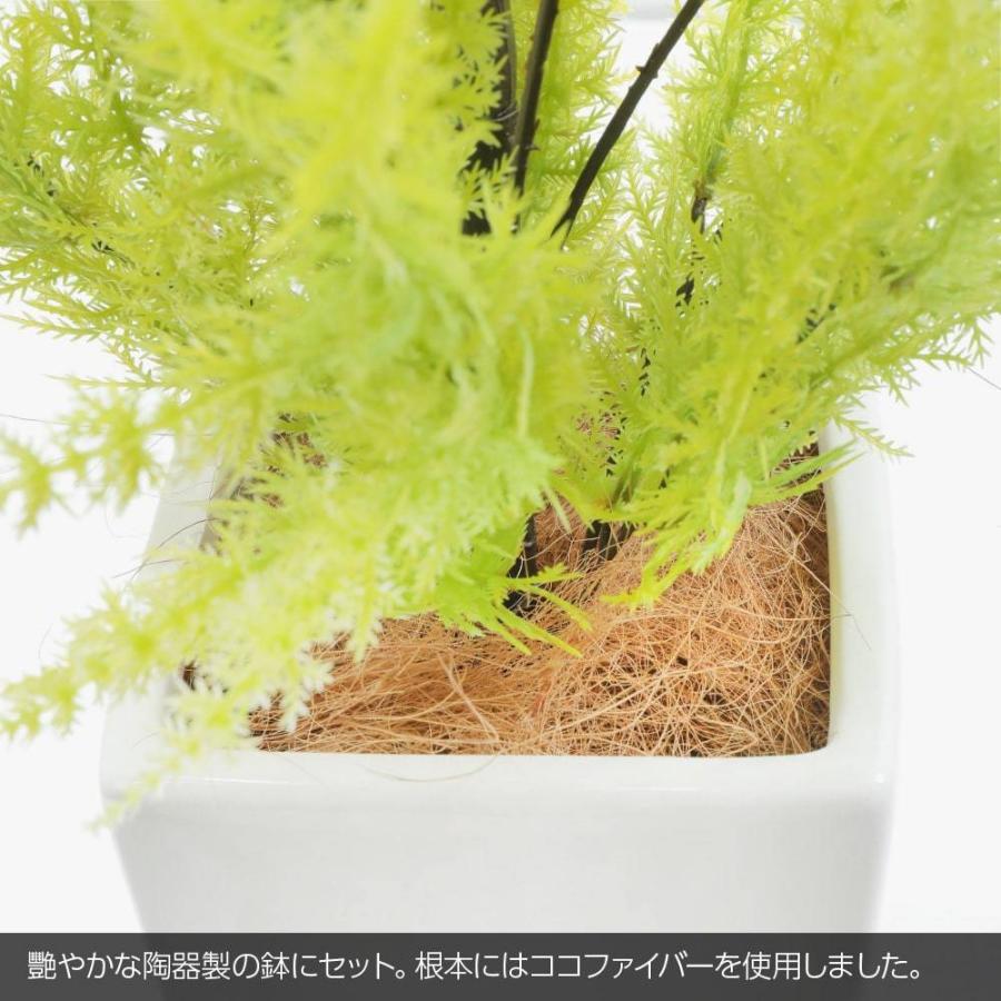フェイクグリーン 観葉植物 人工観葉 卓上 ミニ 小さい 光触媒 造花 ゴールドクレストツリー ライトグリーン 75cm 鉢植 インテリア リアル_3