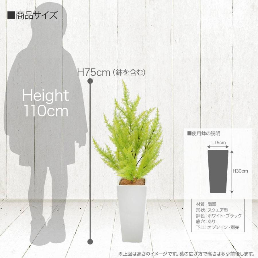 フェイクグリーン 観葉植物 人工観葉 卓上 ミニ 小さい 光触媒 造花 ゴールドクレストツリー ライトグリーン 75cm 鉢植 インテリア リアル_4