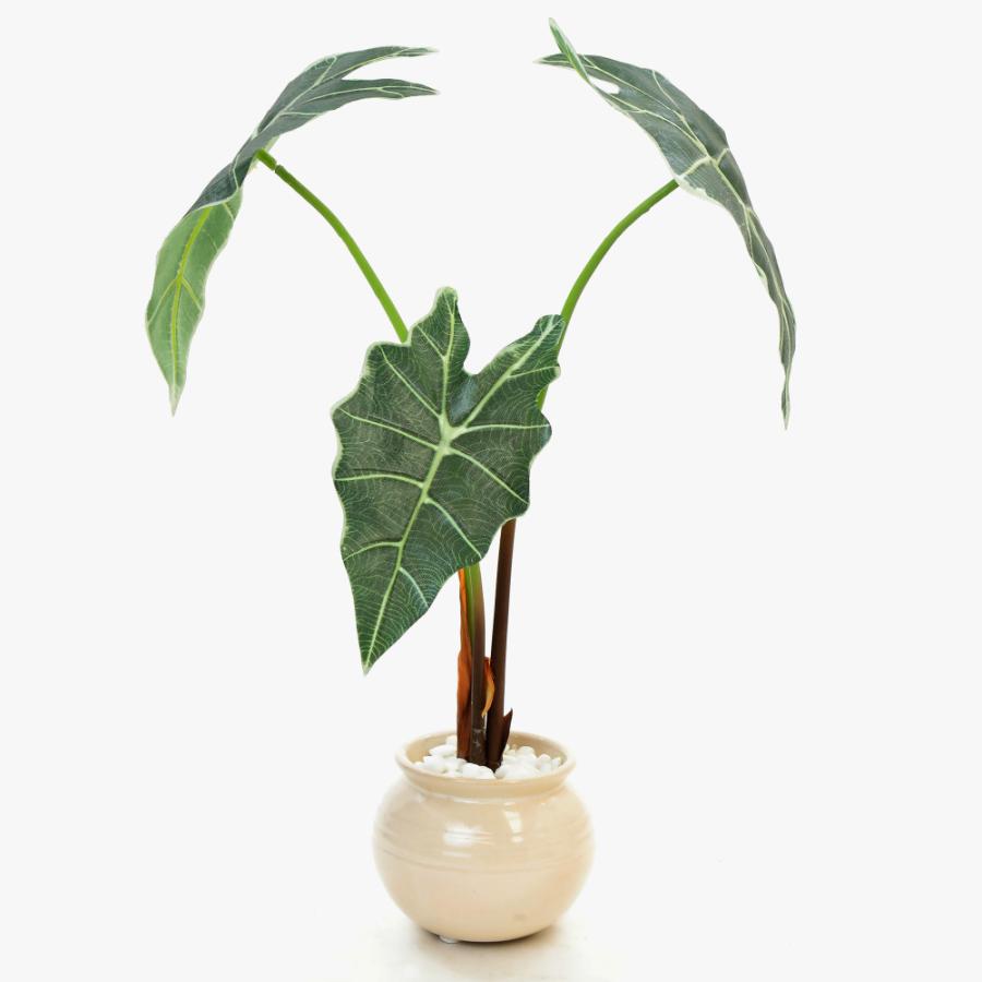 神戸花物語 フェイクグリーン 観葉植物 人工観葉 卓上 ミニ 小さい