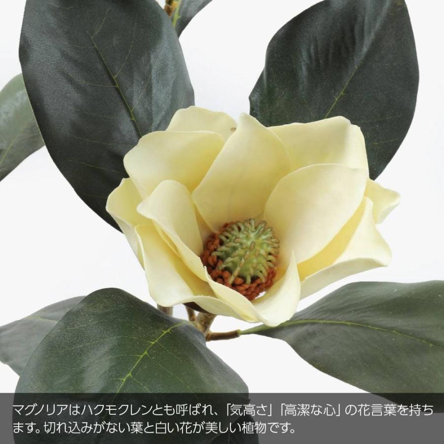 Sale 64 Off さくらやまシフォンケーキ コーヒーマ ブル まるで赤ちゃんのほっぺのように柔らかい 無添加でお砂糖控えめのケーキ 小さなお子様のおやつにもどうぞ