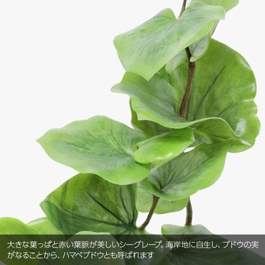 神戸花物語 フェイクグリーン 観葉植物 人工観葉 大型 光触媒 神戸花物語 フェイクグリーン 観葉植物 人工観葉 大型 光触媒