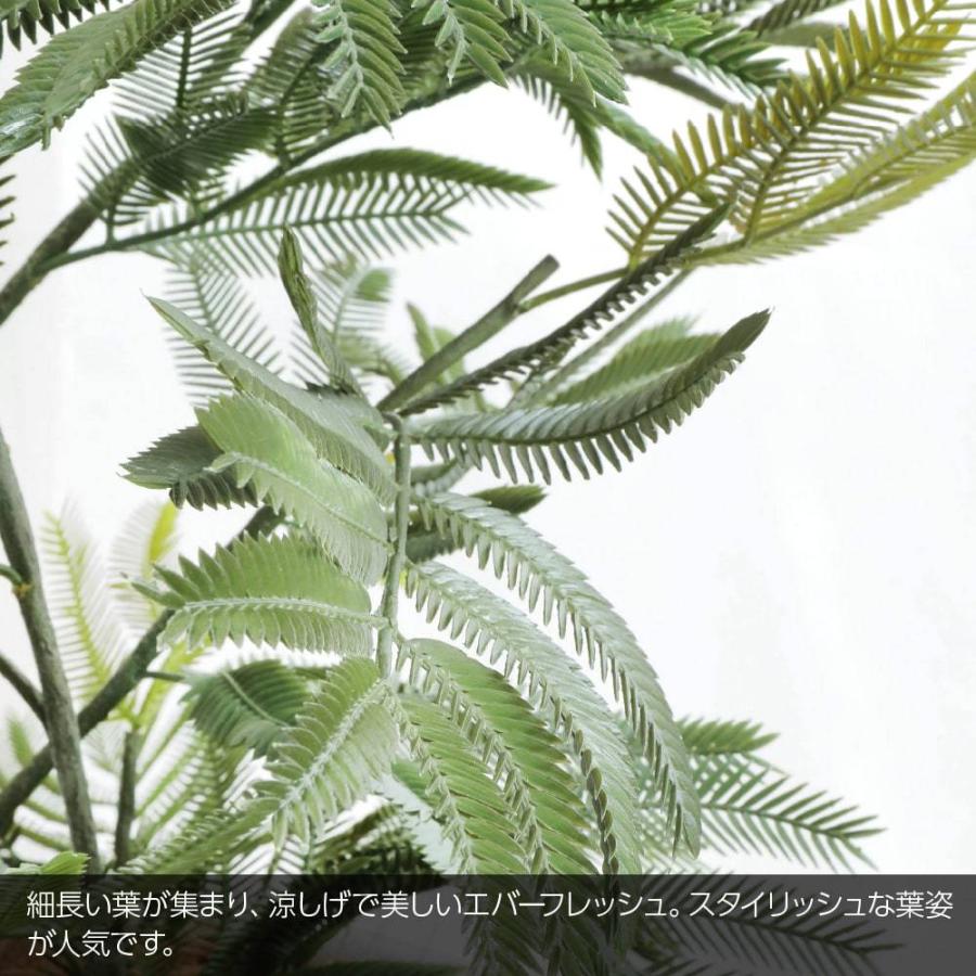 光触媒　人工観葉植物　ウォールグリーン　フェイクグリーン　エバーフレッシュ185 光触媒 人工観葉植物 フェイクグリーン ねむの木 エバーフレッシュ7454
