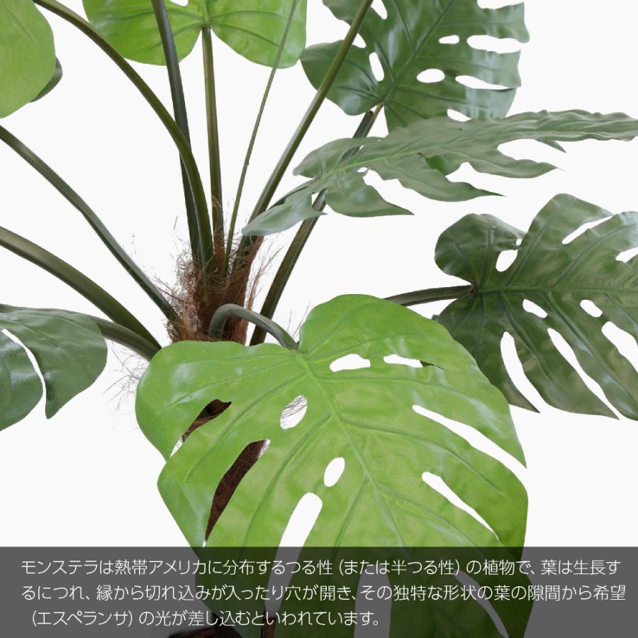 アウトレット 人工観葉植物 フェイクグリーン 大型 ジャングル スプリットフィロ エスペランサ 150cm 鉢植 観葉植物 造花 光触媒 Ct触媒 Suzu Yk フェイクグリーンの神戸花物語 通販 Yahoo ショッピング