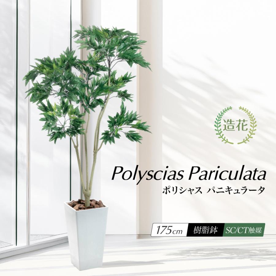 人工観葉植物 フェイクグリーン 観葉植物 造花 光触媒 ポリシャス パニキュラータ 170cm 鉢植 フェイク グリーン インテリア おしゃれ Ct触媒 お祝い Suzu Yk3679 フェイクグリーンの神戸花物語 通販 Yahoo ショッピング