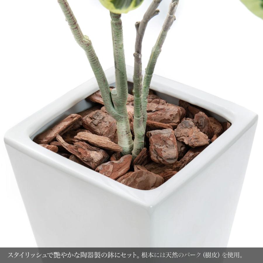 フェイクグリーン 人工観葉植物 大型 光触媒 CT触媒 消臭 抗菌 リアルタッチ ゴムの木 インテリア おしゃれ 風水 / フィカス アルテシマ 陶器鉢M 全高 110cmの画像