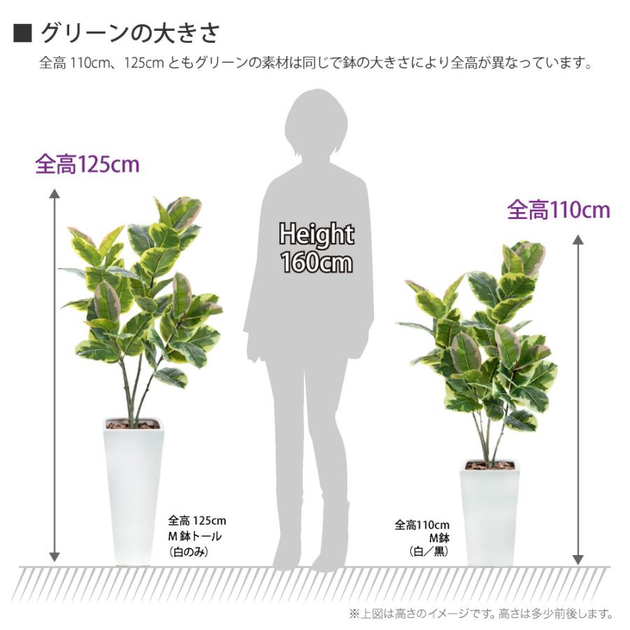 フェイクグリーン 人工観葉植物 大型 光触媒 CT触媒 消臭 抗菌 リアルタッチ ゴムの木 インテリア おしゃれ 風水 / フィカス アルテシマ 陶器鉢M 全高 110cmの画像