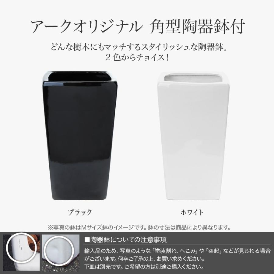 フェイクグリーン 人工観葉植物 大型 光触媒 CT触媒 消臭 抗菌 リアルタッチ ゴムの木 インテリア おしゃれ 風水 / フィカス アルテシマ 陶器鉢M 全高 110cmの画像