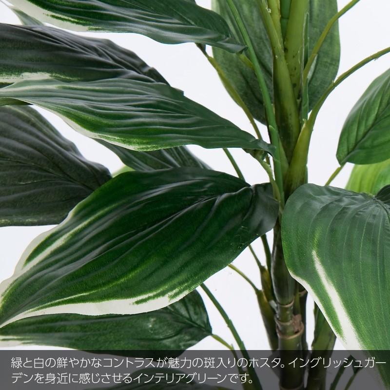 フェイクグリーン 大型 人工 観葉植物 造花 ホスタプラント 130cm 鉢植 光触媒 CT触媒 リアル インテリア おしゃれ｜k-hana｜02