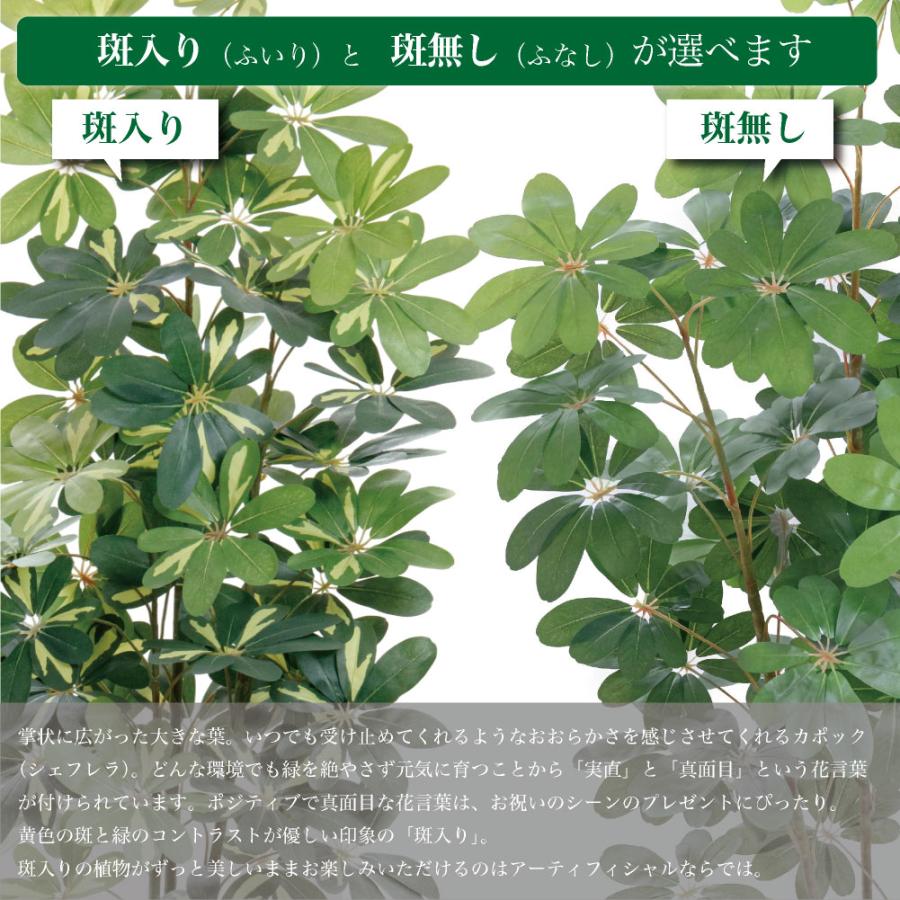 神戸花物語 フェイクグリーン 観葉植物 人工観葉 大型 光触媒 神戸花物語 フェイクグリーン 観葉植物 人工観葉 大型 光触媒