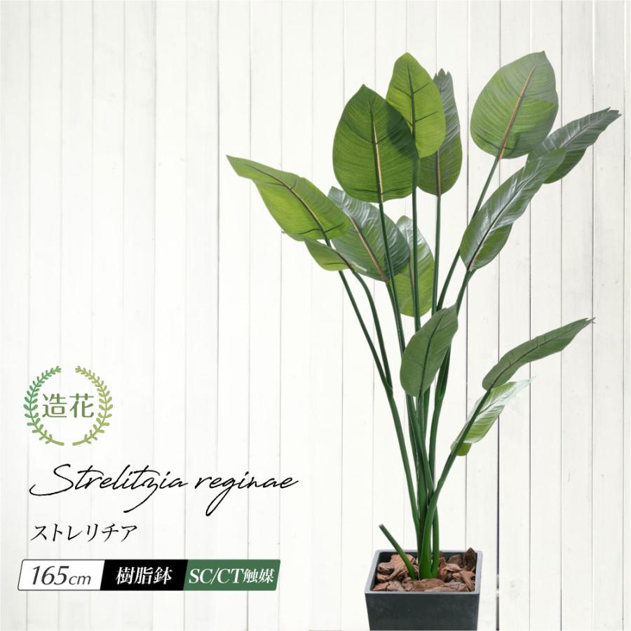 ストレチア　ストレリチア　観葉植物　光触媒 神戸花物語 フェイクグリーン 観葉植物 人工観葉 大型 光触媒 樹脂鉢