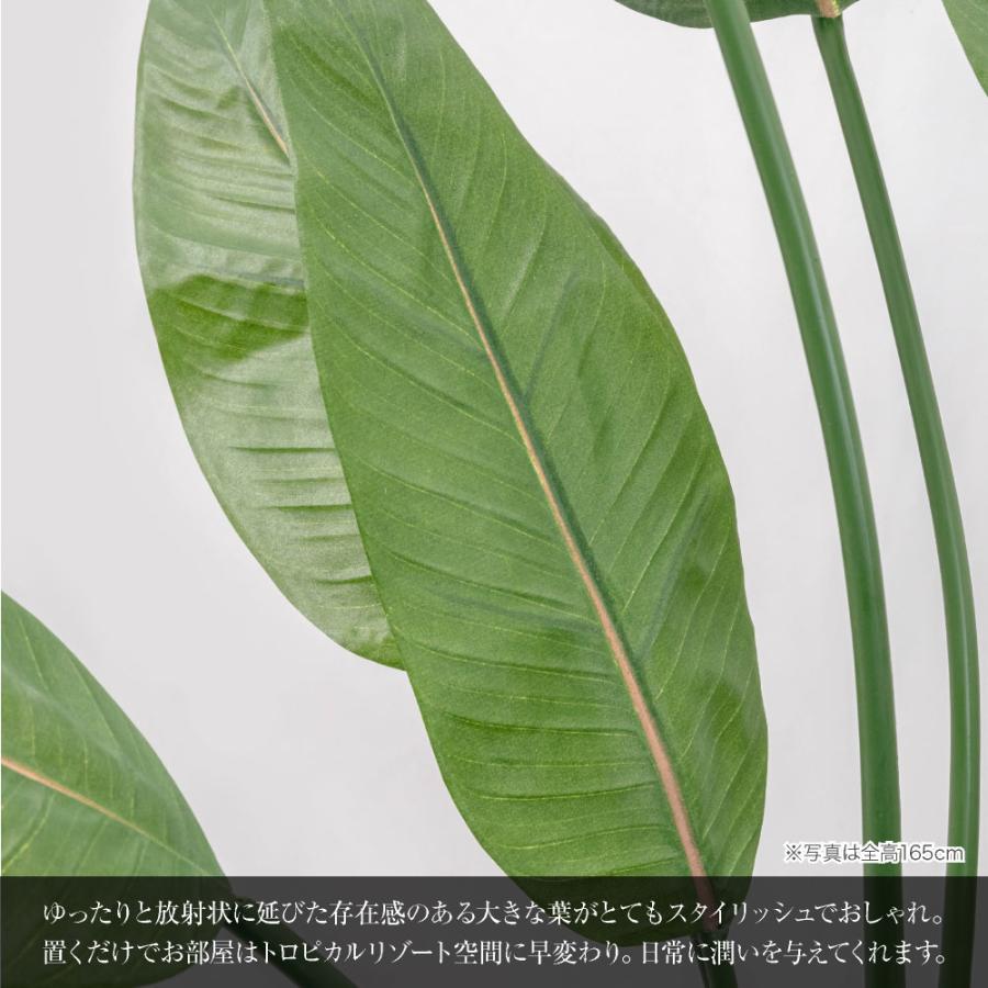 CT触媒インテリアグリーン ストレリチア 高さ115cm 楽天市場】ストレリチア ストレチア フェイクグリーン おしゃれ