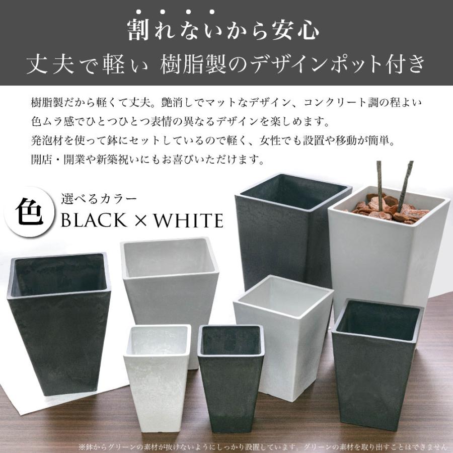 フェイクグリーン オーガスタ 観葉植物 人工観葉 大型 光触媒 ストレチア 本物そっくり リアル 造花 インテリア おしゃれ / ストレリチア 樹脂L鉢 165cm