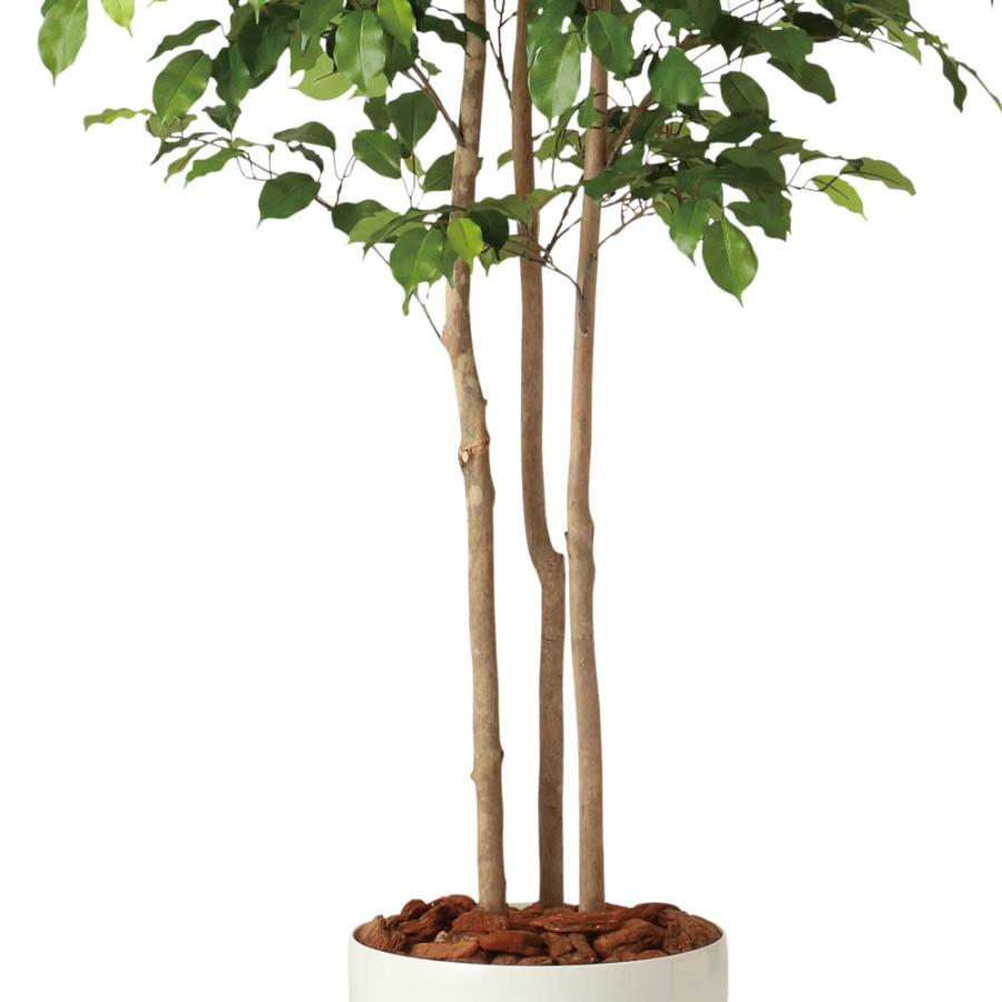 神戸花物語 フェイクグリーン 観葉植物 人工観葉 大型 光触媒