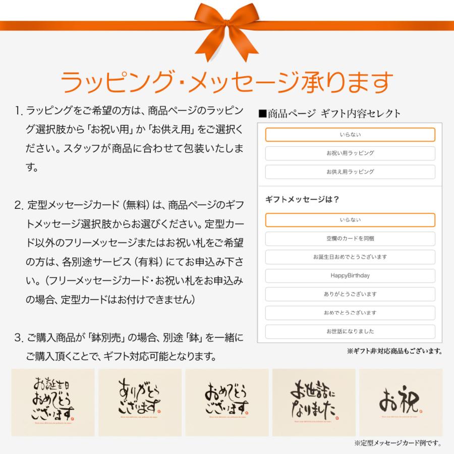 フェイクグリーン 観葉植物 人工観葉 大型 光触媒 フィッカスベンジャミナトリプル (ベンジャミン) 180cm 鉢植 造花 インテリア 91242_5