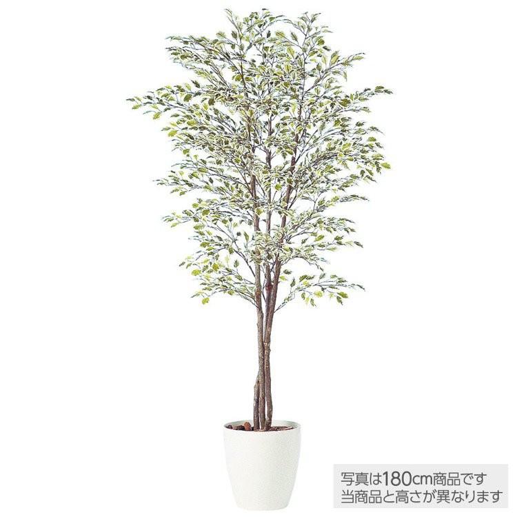 フェイクグリーン 大型 ベンジャミナスターライトトリプル ベンジャミン 0cm 商舗 鉢植 観葉植物 造花 Ct触媒 光触媒 インテリア 人工 観葉植物
