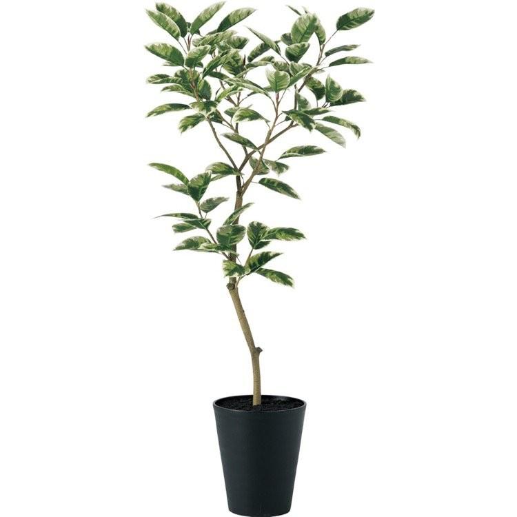 観葉植物 造花 デコラトリカラー Fst ゴムの木 150cm 鉢植 大型 フェイクグリーン 人工観葉植物 光触媒 Ct触媒 インテリア Tk フェイクグリーンの神戸花物語 通販 Yahoo ショッピング
